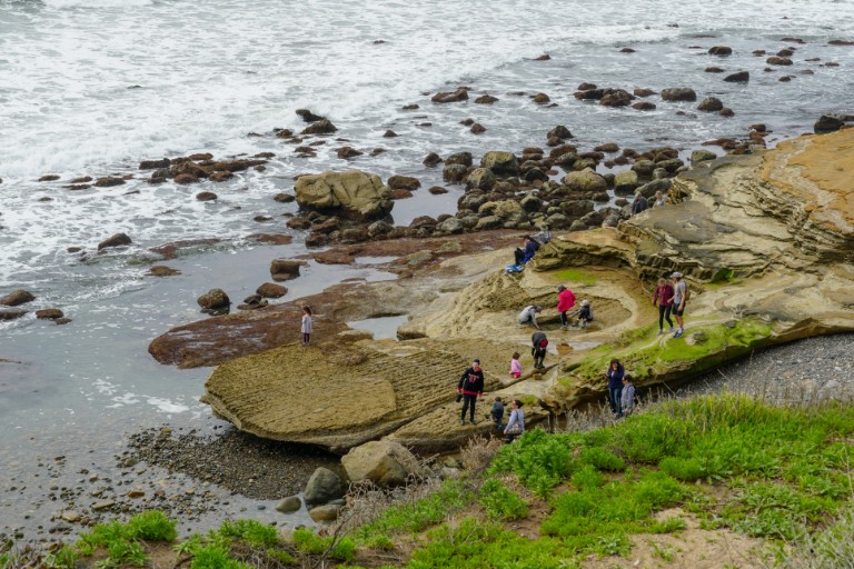 6 Fun Things to Do in Point Loma Peninsula, San Diego